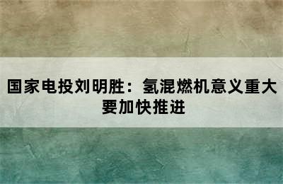 国家电投刘明胜：氢混燃机意义重大 要加快推进